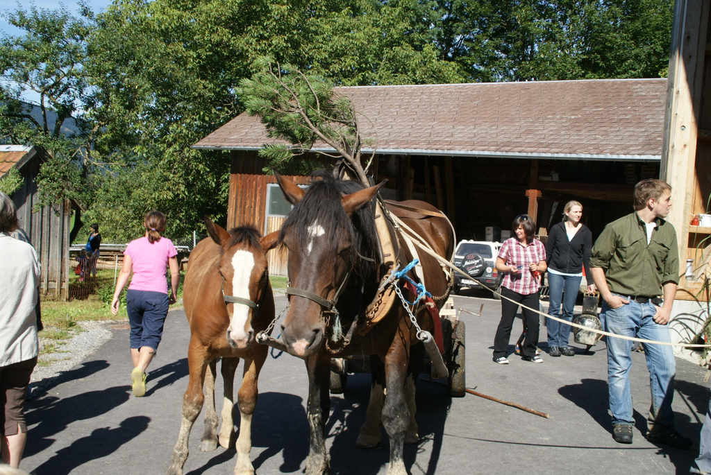DSC08861.JPG