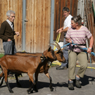 DSC08869.JPG