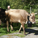 DSC08871.JPG
