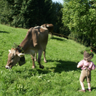 DSC08873.JPG