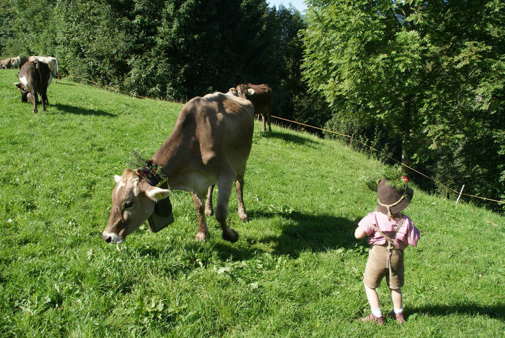 DSC08873.JPG