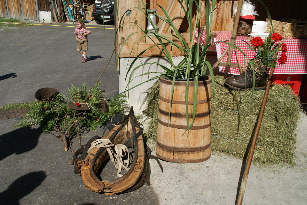 DSC08894.JPG