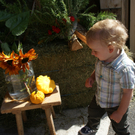DSC08902.JPG