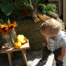 DSC08903.JPG