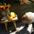 DSC08904.JPG
