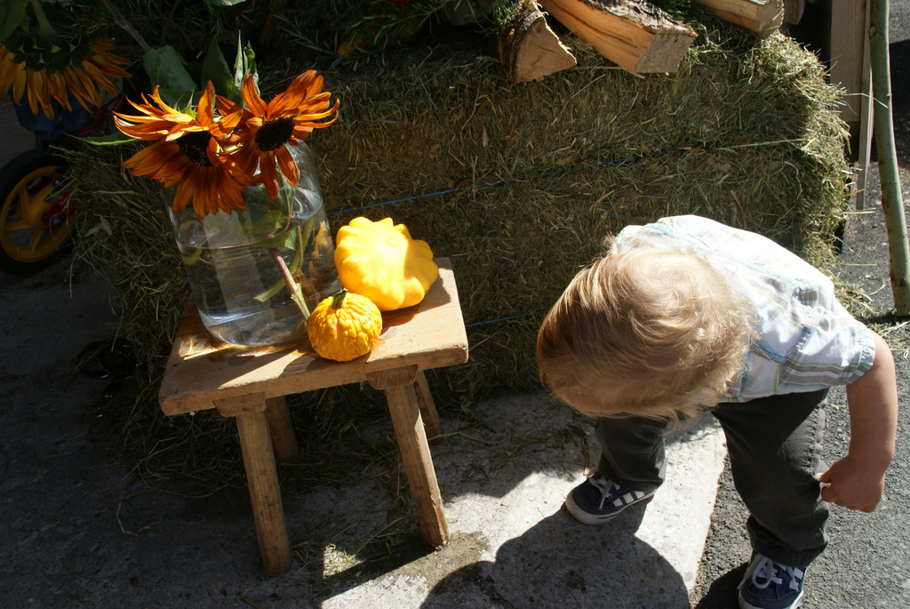 DSC08904.JPG