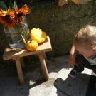 DSC08905.JPG