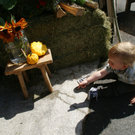 DSC08906.JPG