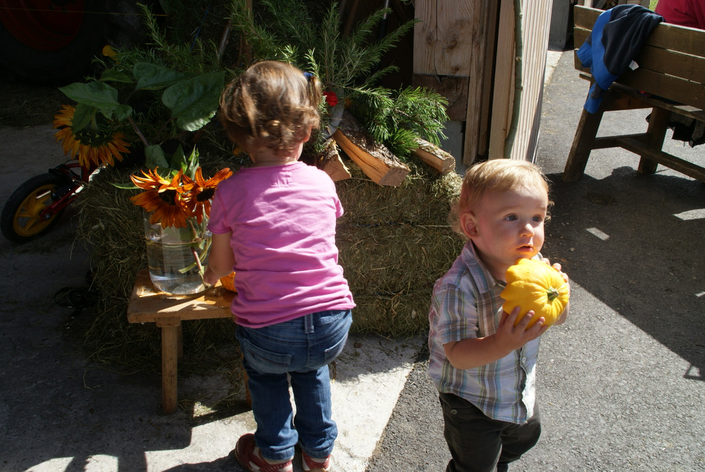 DSC08907.JPG