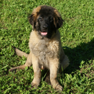 DSC08927.JPG