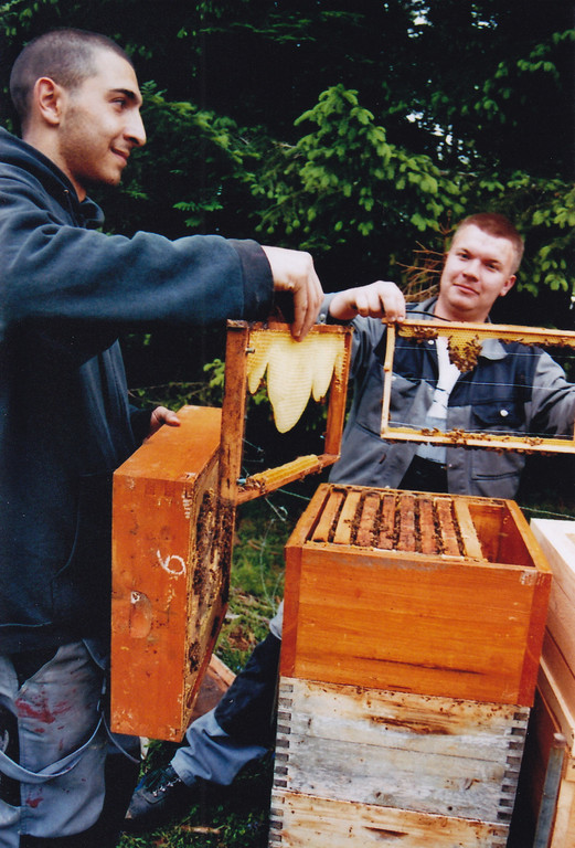 IMG_0001_jpg-1284416289