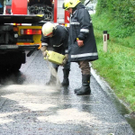 2010-09-13_vu_b1_pfongau_30_30_20100913_1653000114.jpg