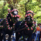 Alpabtrieb in Dornbirn