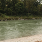 normal_14092010suchesalzachrmaktivnews_ac.jpg