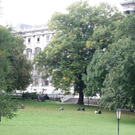 IMG_0355.JPG