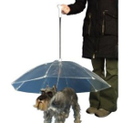 dog-umbrella.jpg