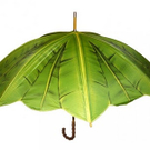 creative-Umbrella-01.jpg
