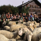 DSC09112.JPG