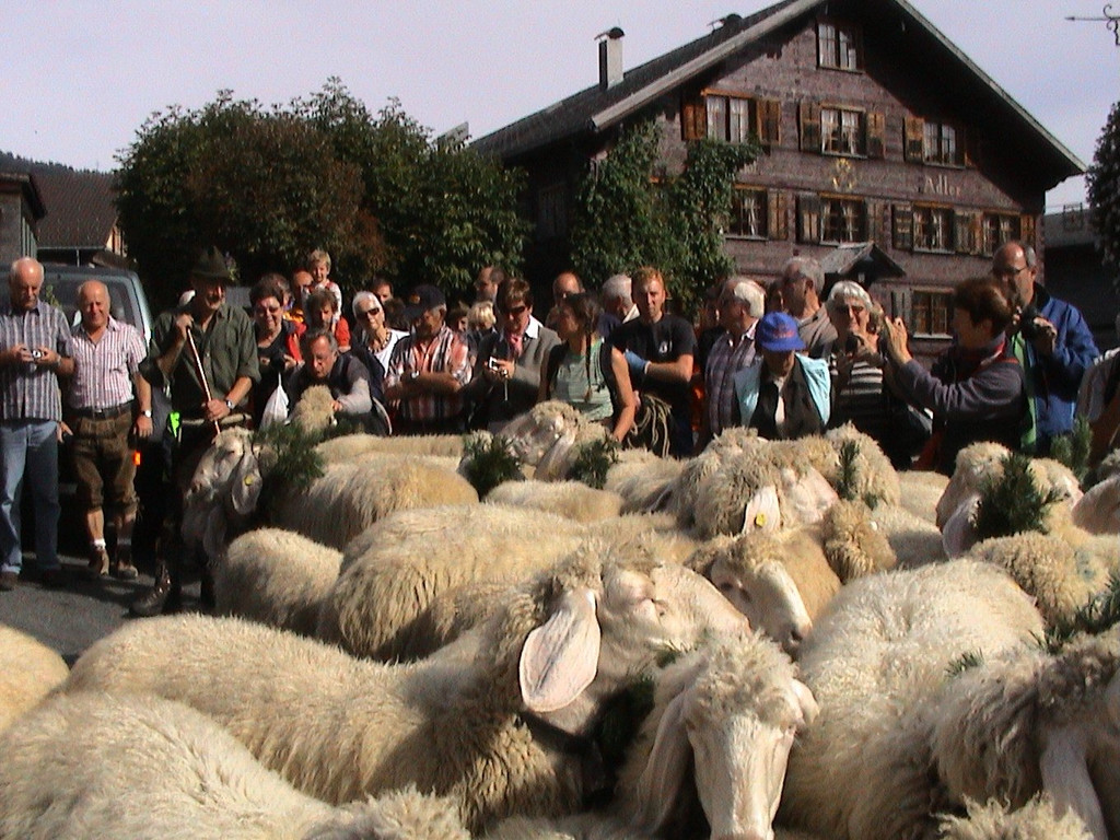 DSC09112.JPG