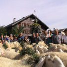 DSC09113.JPG