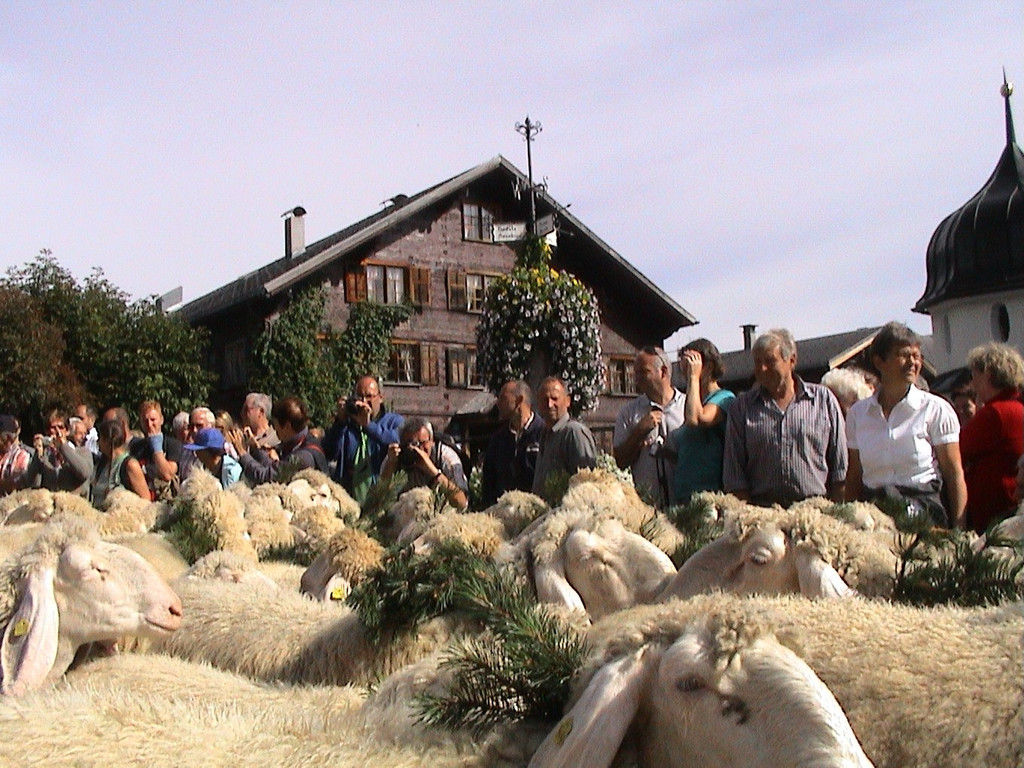DSC09113.JPG