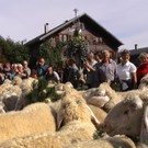 DSC09114.JPG