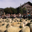 DSC09117.JPG