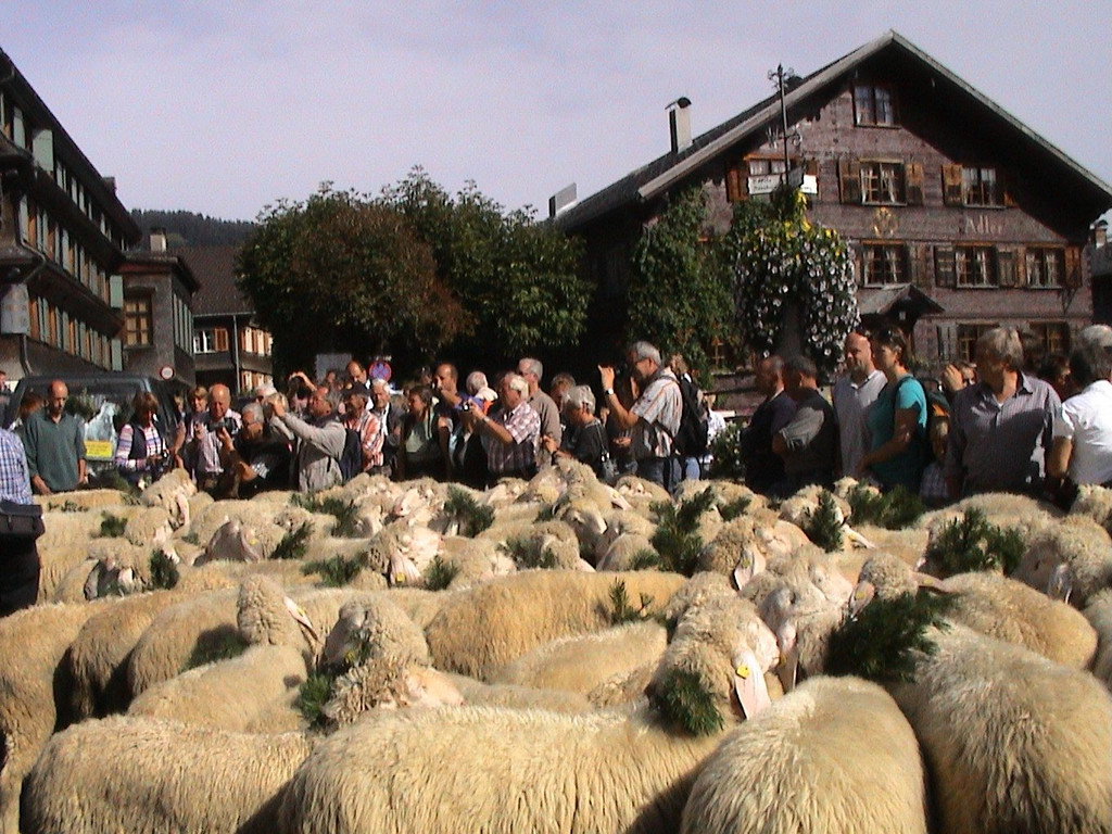 DSC09117.JPG