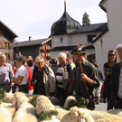 DSC09120.JPG