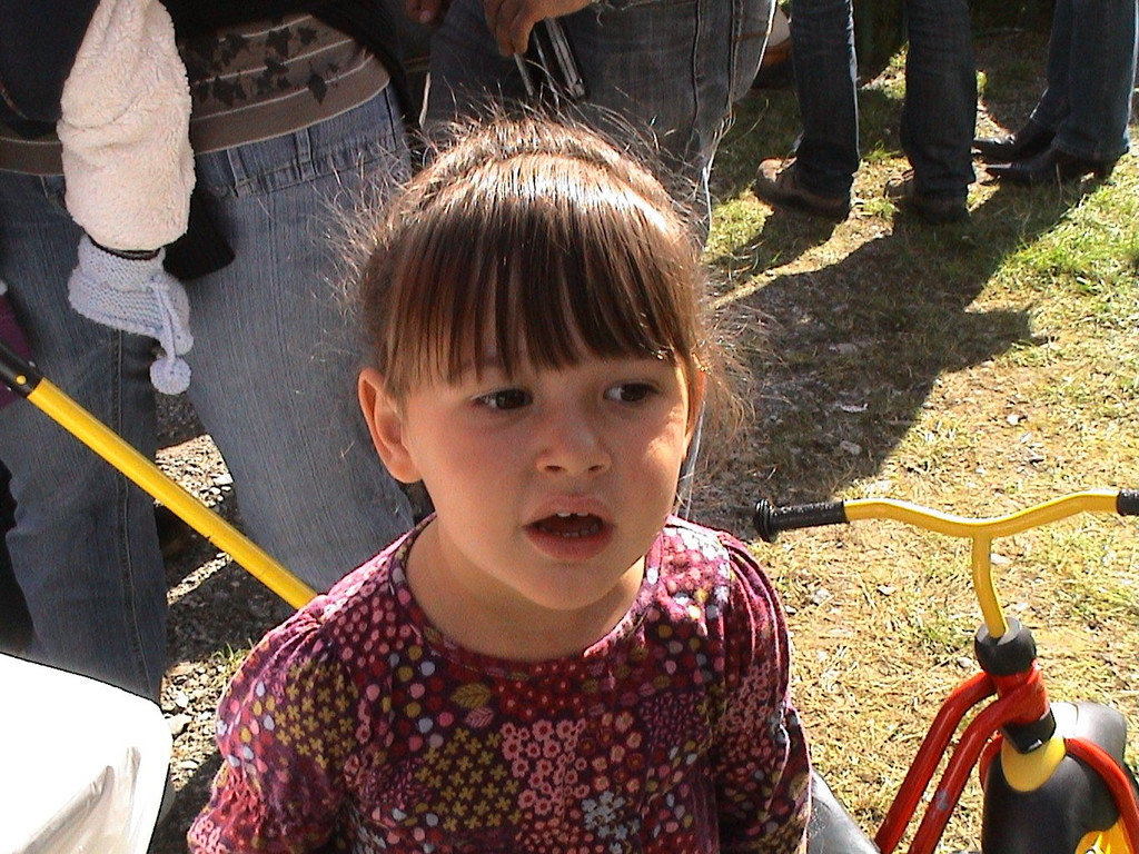 DSC09147.JPG