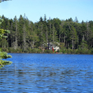 lake-midway-cottage-from-lake1.jpg