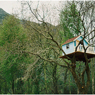 tree house 2.jpg