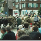 15_9_201 Alberschwende Alpabtrieb29.jpg