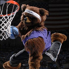 bear00_300_080509.jpg