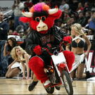 bennythebull.jpg