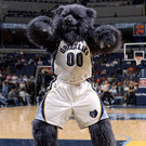 Grizz.jpg