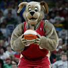 moondog_bio254.jpg