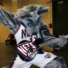 N_NetsSly1.jpg