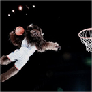 Rumble the Bison.jpg