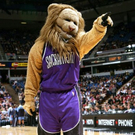 Slamson the Lion2.jpg
