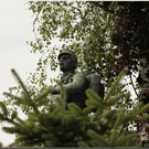 Alb2010alpAbtr  245.jpg