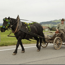 Alb2010alpAbtr  263.jpg