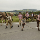 Alb2010alpAbtr  270.jpg