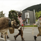 Alb2010alpAbtr  275.jpg