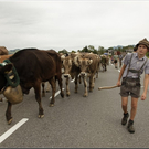 Alb2010alpAbtr  279.jpg