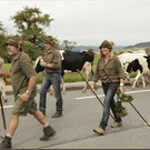 Alb2010alpAbtr  291.jpg