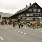 Alb2010alpAbtr  298.jpg