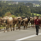 Alb2010alpAbtr  311.jpg