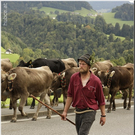 Alb2010alpAbtr  318.jpg