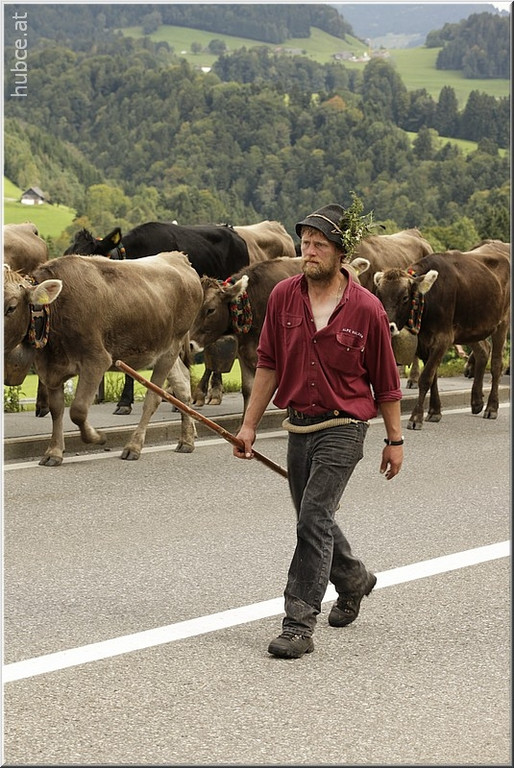 Alb2010alpAbtr  318.jpg